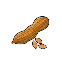 peanuts or nuts vector illustration