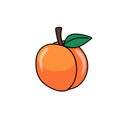 peaches fuits vector illustration