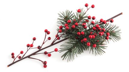 Festive pine branch with bright red berries and green needles, perfect for holiday decorations and winter season celebrations, isolated on blank white or transparent background