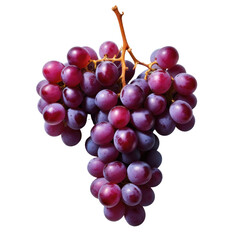 Fototapeta premium red grapes isolated on white