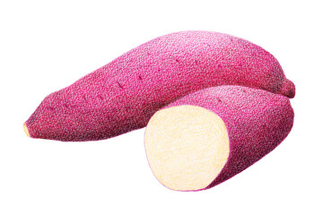 色鉛筆で描いたサツマイモ