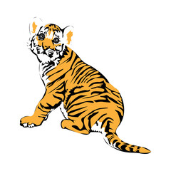 Tiger Cub illustration PNG