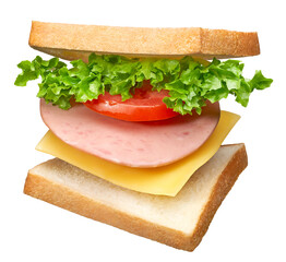 Delicious sandwich with layers of ingredients