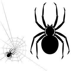 Halloween Decoration Spider on Web