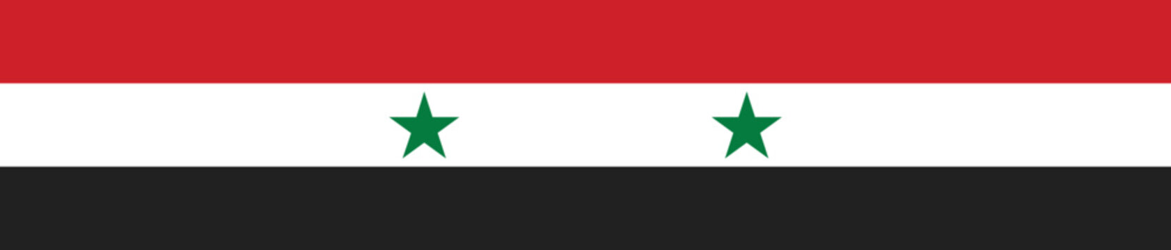 Syrian Flag Design