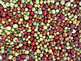 Green and ripe brown jujube fruits on the market stall. Delicious, ripe, organic fruit. Close-up.