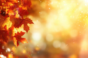 Fototapeta premium Autumn Bliss, vibrant maple leaves cascade in golden sunlight, creating a warm, serene atmosphere of fall tranquility.