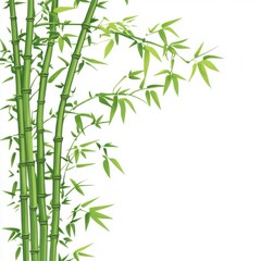 Fototapeta premium A vibrant bamboo plant with lush green leaves, perfect for nature-themed designs and backgrounds, promoting tranquility and growth.