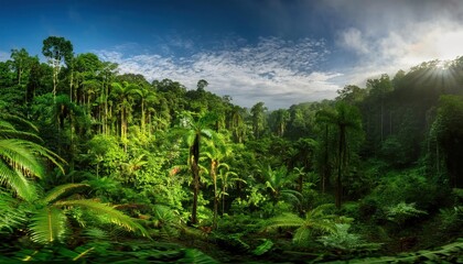 Fototapeta premium Deep tropical jungles of Southeast Asia in august