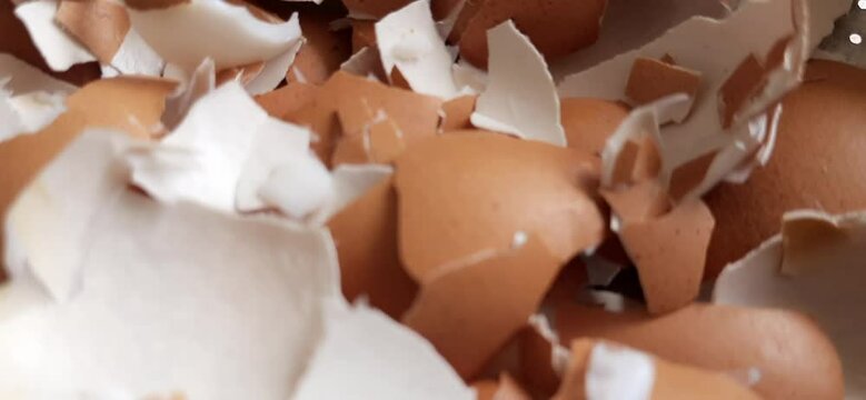Broken brown eggshells texture background