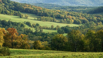 Fototapeta premium A panoramic view of rolling woodland hills, with trees and foliage creating a textured landscape.