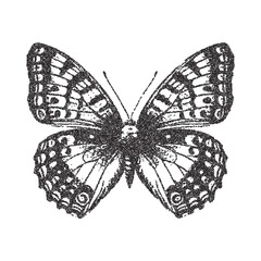 Vector butterfly trendy retro photocopy grain effect. Modern stipple dots texture for design art.