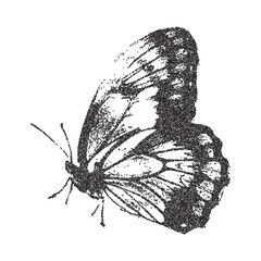 Vector butterfly trendy retro photocopy grain effect. Modern stipple dots texture for design art.