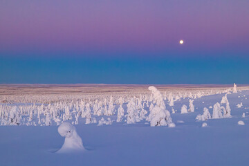 winter landscape at sunset