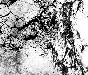 GRUNGE BLACK AND WHITE BACKGROUND