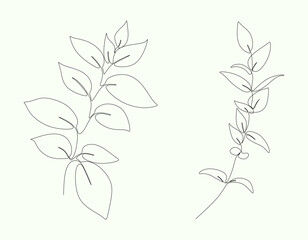 Set of black line art branch, leaf, plants. Botanical floral outline pencil sketch leaves isolated on white background. Hand drawn black simple vector illustration