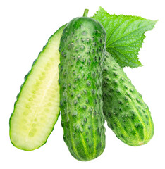 Fresh sweet small cucumbers and cucumber longitudinal section isolated on white background. Cucumbers that are used to pickling or slicing.