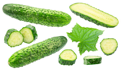 Set of fresh sweet small cucumbers and cucumber slices isolated on white background. Cucumbers that are used to pickling or slicing.
