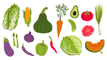 Set of different vegetables isolate on white background. Vector graphics.