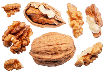 Set of walnut and walnut kernels leaves isolated on white background. File contains clipping path.