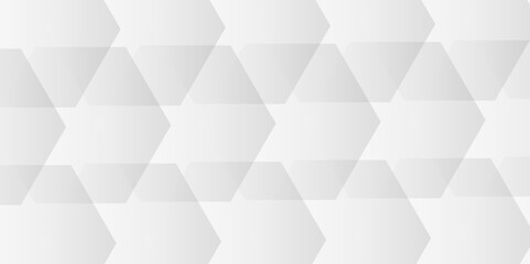 Comprehensive Exploration of Hexagon White Geometry Tiles: Unveiling the Intricate Beauty, Design Versatility, and Modern Applications of Vector Graphics in Contemporary Interior Decor, Architecture