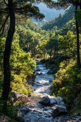 Tranquil pathway leading to a serene river surrounded by lush greenery in the forest