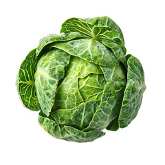 Fototapeta premium Brussels sprouts, side view, on isolated transparent background