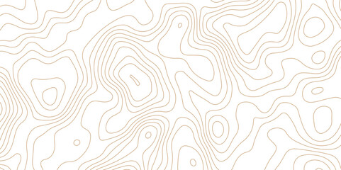 White topography topology texture wavy contour map texture design graphics old map texture smooth curved lines abstract background design wallpaper for desktop