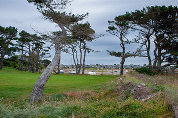 joli paysage sur l'île Grande en Bretagne - France