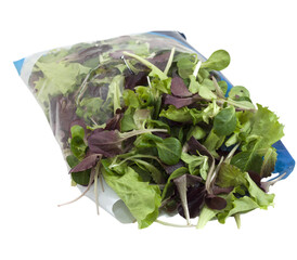 Fresh mixed salad greens in a resealable bag on transparent background