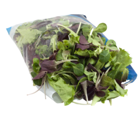 Fresh mixed salad greens in a resealable bag on transparent background