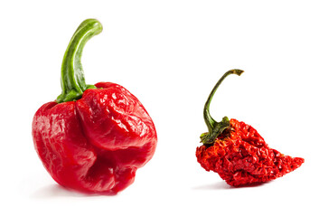 Red Carolina Reaper pepper. Fresh and dry fruits. Is a variety of chili pepper have a heat rating...