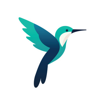 hummingbird isolated on white background