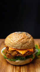 Chicken Burger with black bakground