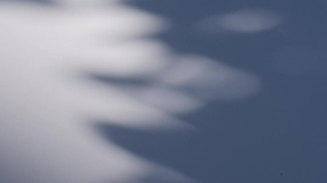 interior wall studio of moving leaves, sunlight, natural shadows overlaid on a white and blue background.Summer concept	