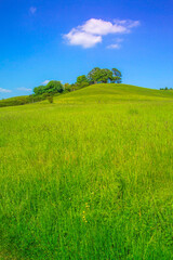 The chitern hills buckinghamshire england uk