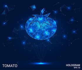 Hologram tomato. Tomato made of polygons, triangles, dots, and lines. Low-poly tomato structure of connections. Technology concept vector.