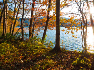The nature trails at Lake Akan, Hokkaido, Japan.