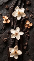 Delicate White Flowers and Vanilla Pods Arranged on Textured Dark Surface With Earthy Elements