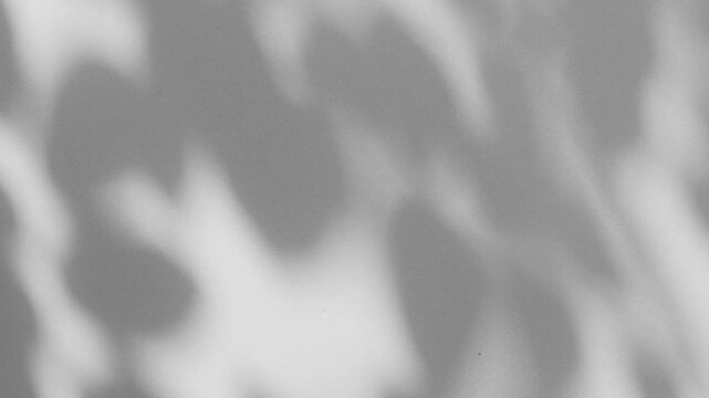 Wall interior background, studio and backdrops show products.with shadow from window color white and grey. background for text insertion and presentation product	