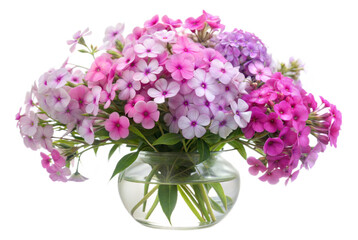 Pink Phlox Bouquet in a Vase