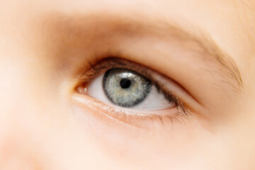Close-up of a girl's eyes, showcasing the beauty of her expressive gaze. This macro shot highlights...
