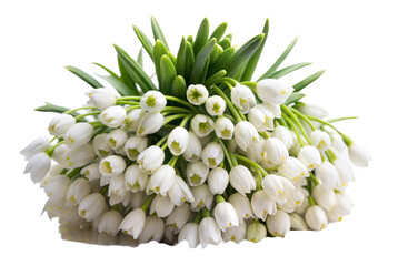 Fototapeta premium Bouquet of Snowbell Flowers