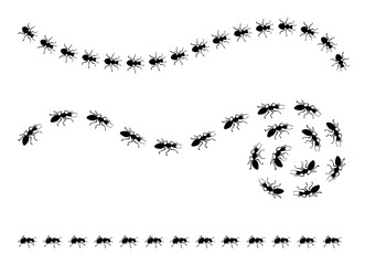 Black ants roads. Ant trails and paths, top view. Insects marching one after another, working together. Line and curve routes, neoteric vector scene