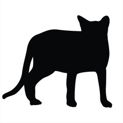 Cat silhouettes. Cat vector illustrations. Cat silhouette icons isolated. Black White.