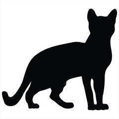 Cat silhouettes. Cat vector illustrations. Cat silhouette icons isolated. Black White.