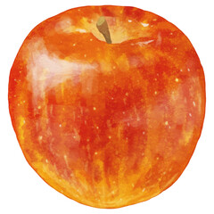 リアルな赤いりんご1個