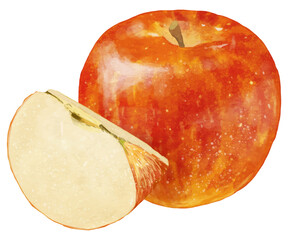 リアルな赤いりんご1個とカット1切れ