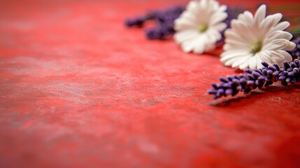  purple and white on edge