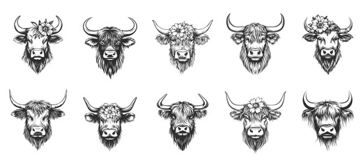Highland cow head portrait. Front view. With meadow flower around head. Big horns. Strong wild domestic animal cattle. Black and white simple flat tatoo style. Isolated vector on white background